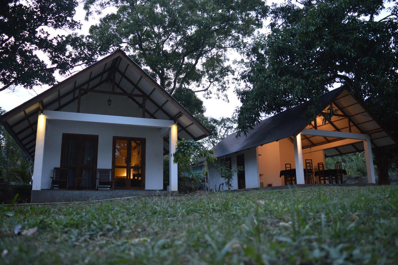 The Countryside 3* Udawalawe